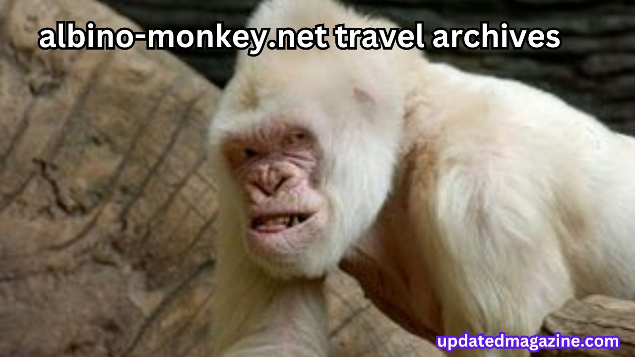 Your Ultimate Travel Guide: Exploring the Archives of Albino-Monkey.net